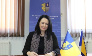 Aida Obuća SDA, Vlada FBiH, Dom naroda FBiH,