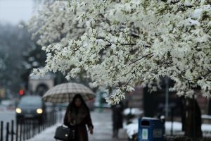 Zvijer s istoka snijeg sarajevo žena kišobran