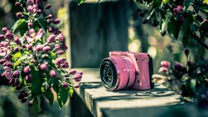 gadget iz 'starih vremena' nikon coolpix roze u zelenilu