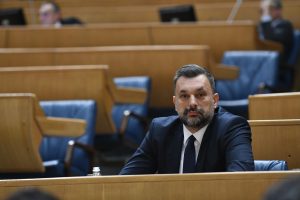 Elmedin Konaković, Parlament BiH, Vijeće ministara BiH