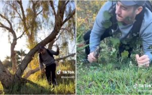 Na TikTok profilu Balkandad, iza kojeg je Miloš Nedeljkov, objavljen je snimak u kojem je prikazano "kako su roditelji s Balkana išli u školu"