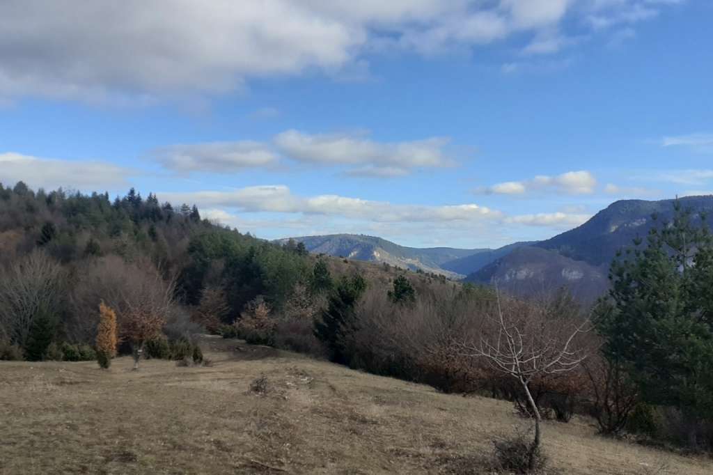 kvalitet zraka dobar livada šuma plavo nebo oblaci