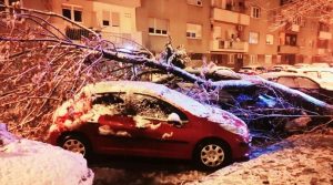 u Hrvatskoj drveće palo na automobile