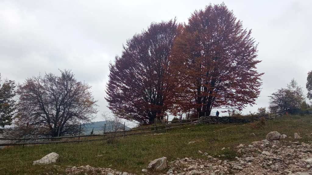 Federalni hidrometeorološki zatvor objavio je kakvo nas vrijeme očekuje suutra, sunčano uz malu do umjerenu oblačnost