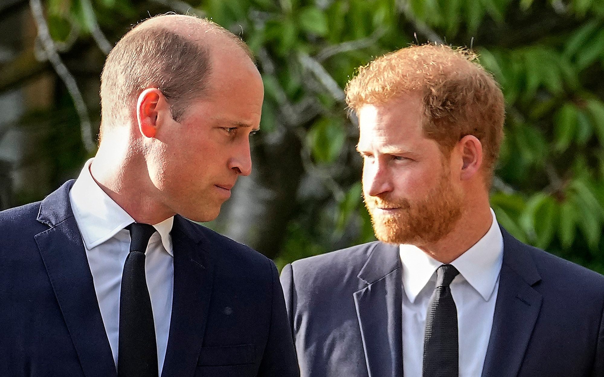 princ Harry william